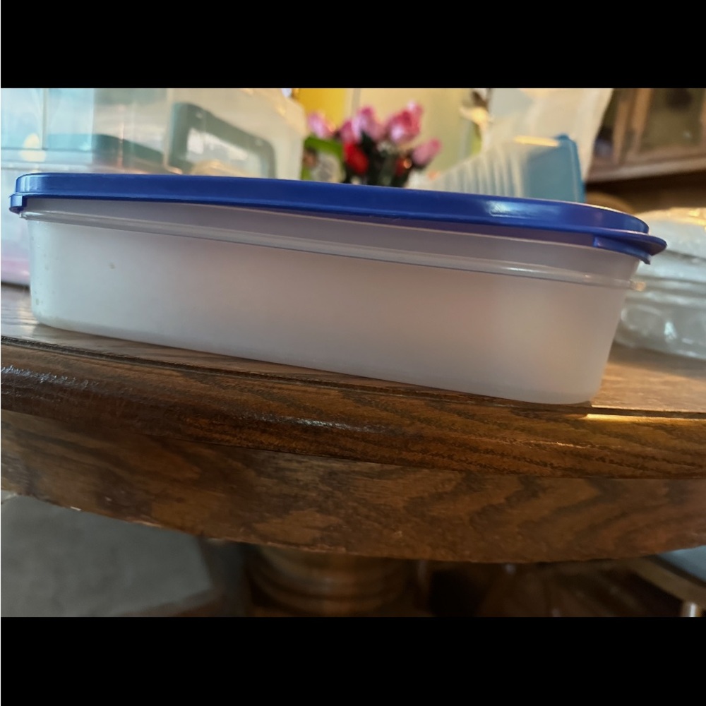 Blue and White Food Storage Container